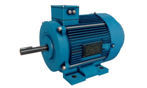 Products - Induction Motors